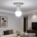 FOCO LED EVA 15W 110V 6500K 100U/C