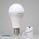 FOCO LED EMERGENCIA 12W 6500K 100U/C