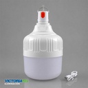 FOCO LED RECARGABLE 50W 6500K 50U/C
