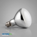 FOCO LED VICTORIA INFRA BLANCO 250W 50U/C