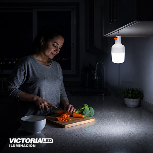FOCO LED RECARGABLE 20W 6500K 50U/C