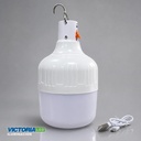 FOCO LED RECARGABLE 50W 6500K 50U/C