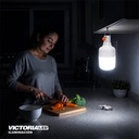 FOCO LED RECARGABLE 50W 6500K 50U/C