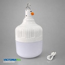 FOCO LED RECARGABLE 80W 6500K 50U/C