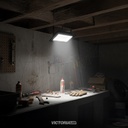 VICTORIA LED REFLECTOR 6500K 100-240V IP66 30U/C