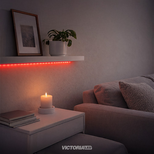 EVA CINTA LED 10M AC110V 2835 IP20 CON CONECTORES 50U/C