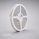 VICTORIA LED CINTA LED 10M AC110V 2835 IP20 120L CON CONECTORES 50U/C