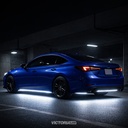 CINTA NEON 5M 6500K IP65 AC100-240V DC12V