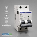 BREAKER VICTORIA LED AC 6K 2P 16A 6U/C