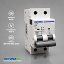 BREAKER VICTORIA LED AC 6K 2P 40A 6U/C