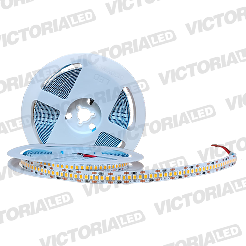 CINTA LED 5M IP20 10MM 240LED 6500K 23W 1600LM
