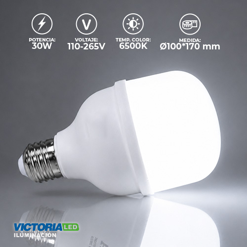 FOCO LED EVA 30W 85-265V 6500K 50U/C