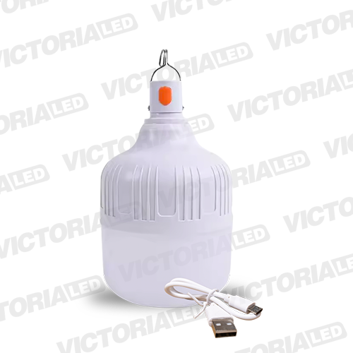 FOCO LED RECARGABLE 50W 6500K 50U/C