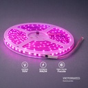 VICTORIA LED CINTA LED 10M AC110V 2835 IP20 CON CONECTORES 50U/C