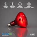 FOCO LED INFRAROJO VICTORIA 250W 40U/C