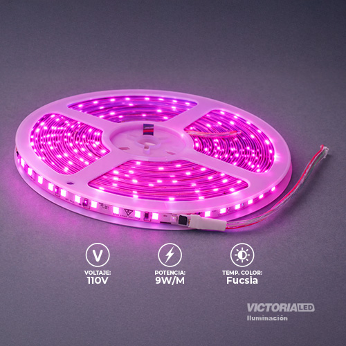 [CL-110V FUSCIA] VICTORIA LED CINTA LED 10M AC110V 2835 IP20 CON CONECTORES 50U/C