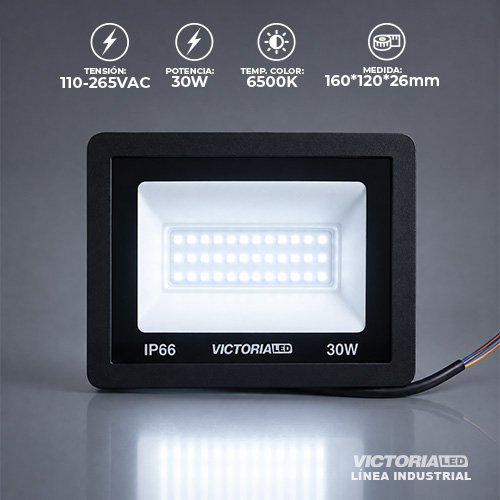 [VLY-30W 6500K] VICTORIA LED REFLECTOR 6500K 100-240V IP66 40U/C